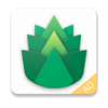 Verdant Nice VPN